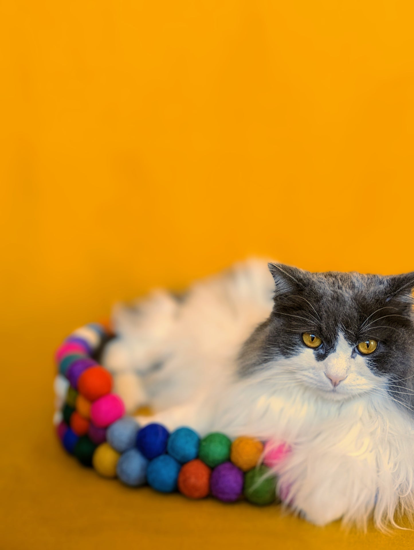 Medium Felt Ball Cat Bed