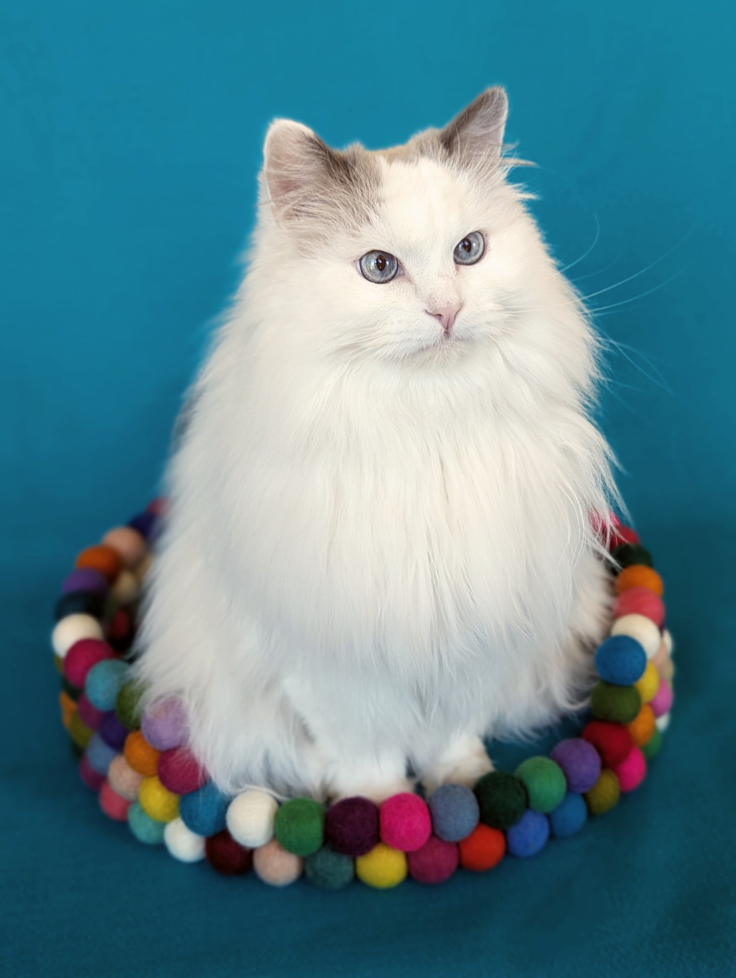 Large Felt Ball Cat Bed
